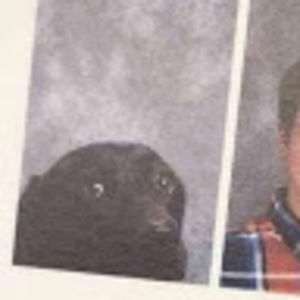 Meet your Posher, Jewel